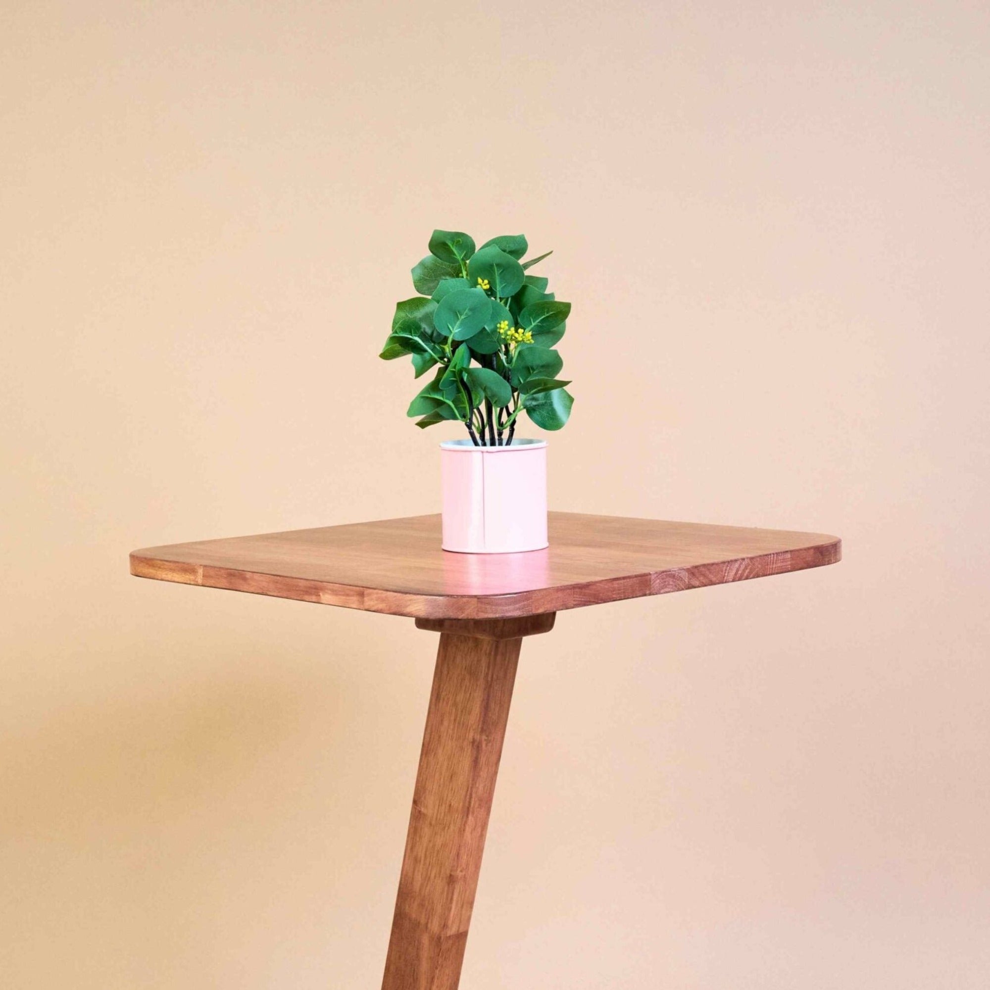 Solid Wood Square End Table - Teak